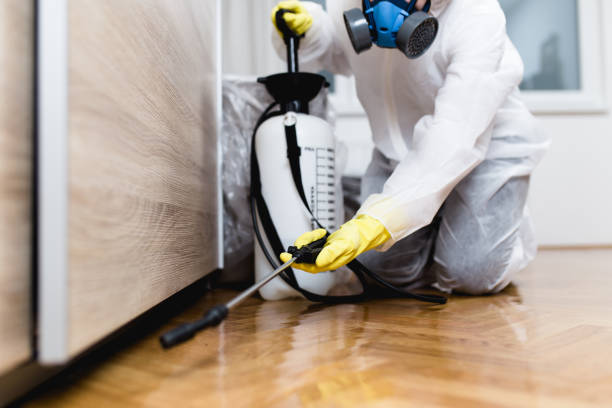 Best Flea Control Services  in Franklin, OH