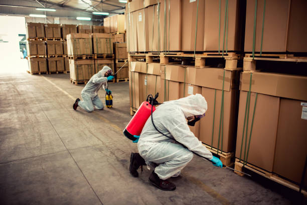 Best Ant Control Services  in Franklin, OH