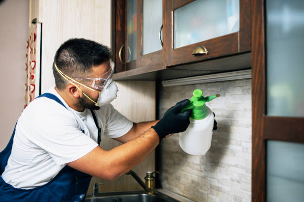 Best Pest Inspection Near Me  in Franklin, OH