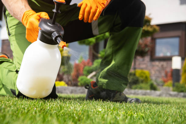 Best Pest Control Near Me  in Franklin, OH