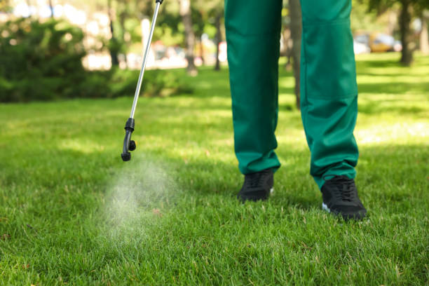 Best Local Pest Control Services  in Franklin, OH