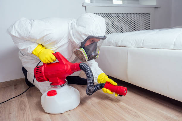 Best Bed Bug Extermination  in Franklin, OH