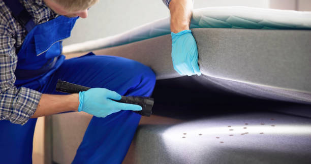 Pest Prevention Services in Franklin, OH