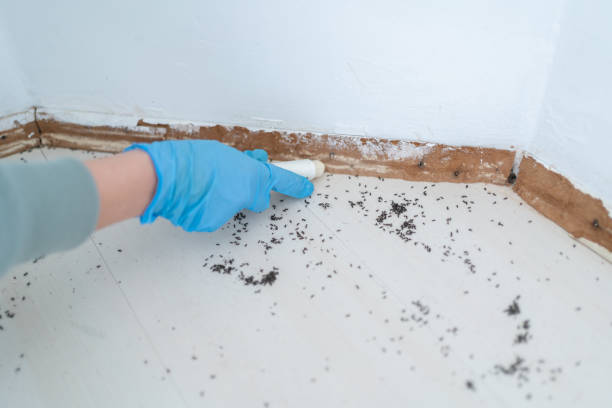 Best Residential Pest Control  in Franklin, OH