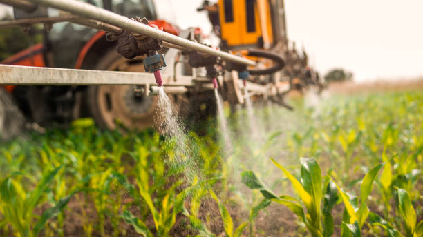 Best Commercial Pest Control Services  in Franklin, OH